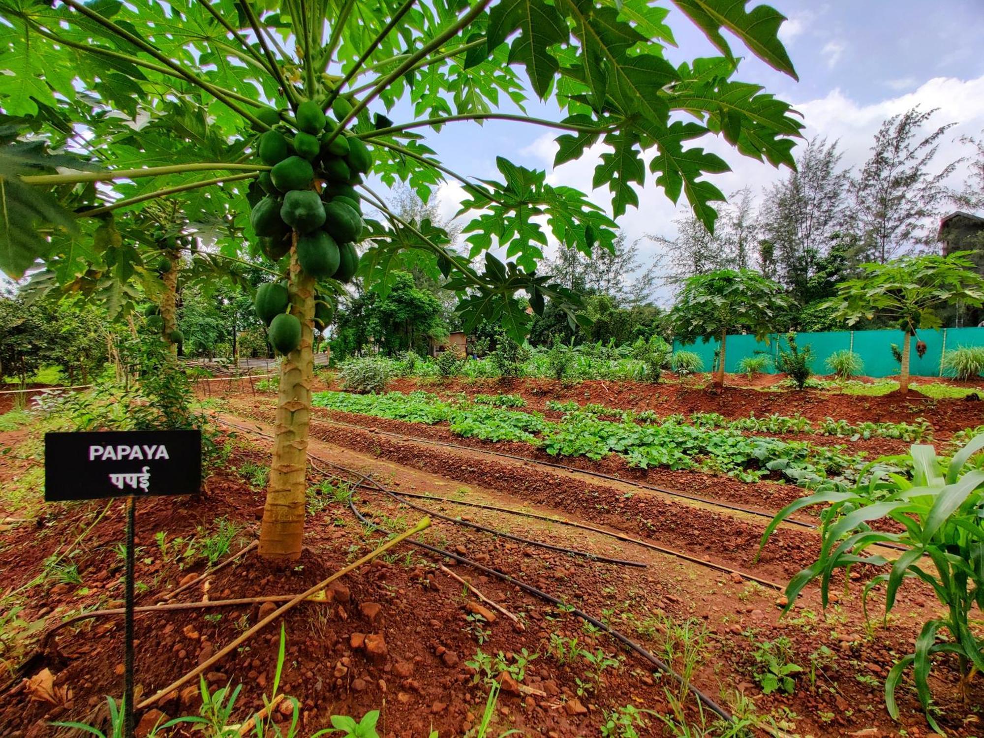 Pushpam Sanskruti Resort Karjat - A Pure Veg Resort Dhamni Esterno foto
